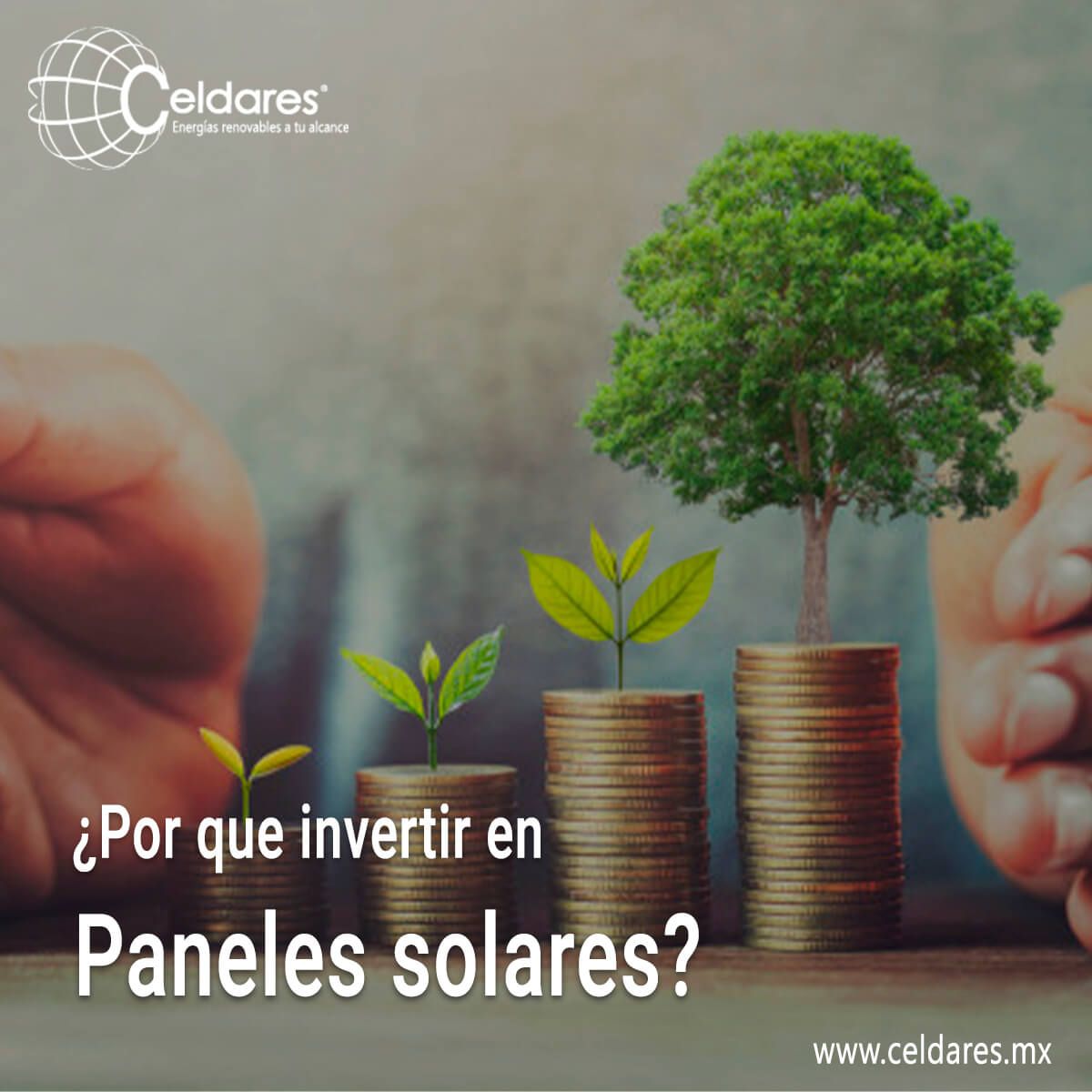 Por qué invertir en paneles solares